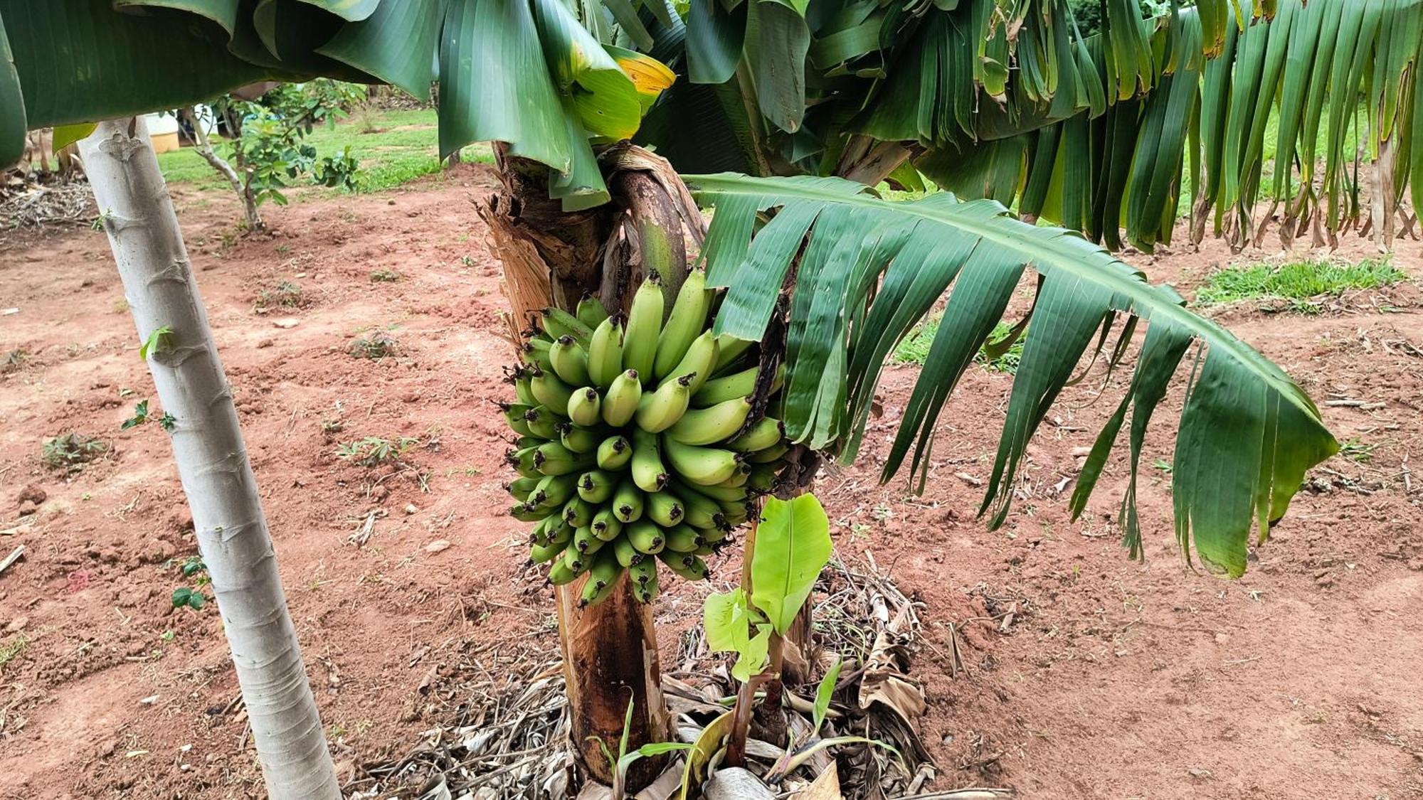 Pousada Recanto Do Sossego Hotel Sao Tome das Letras Ngoại thất bức ảnh